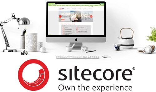 Sitecore Development Partner